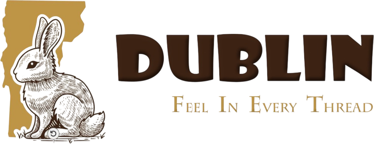 Dublin logo